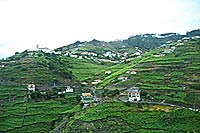 Convencin UNAV - Madeira 2005